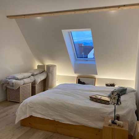 Neues Penthouse-Loft Mit Konuskarte Fuer Gratis Oepnv Ehrenkirchen Exterior foto