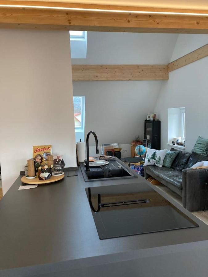 Neues Penthouse-Loft Mit Konuskarte Fuer Gratis Oepnv Ehrenkirchen Exterior foto