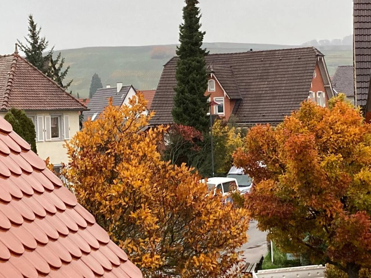 Neues Penthouse-Loft Mit Konuskarte Fuer Gratis Oepnv Ehrenkirchen Exterior foto